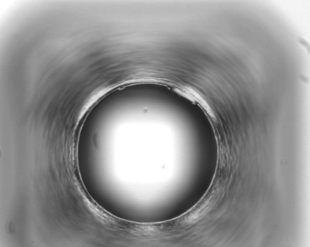 X0000093771101200710301200