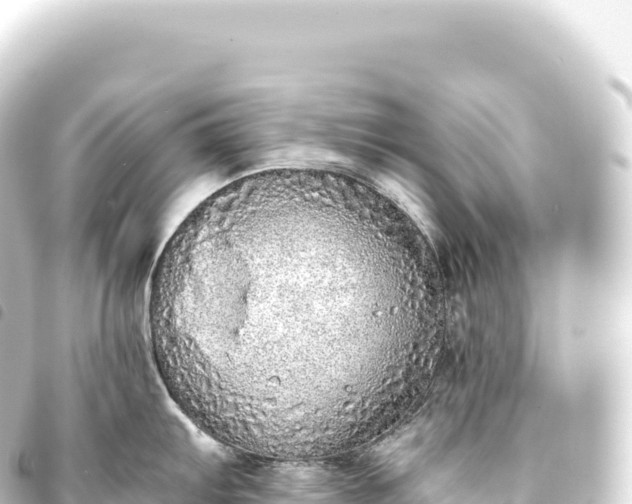 X0000093771103200710301200