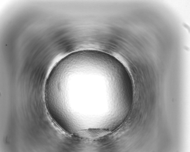 X0000093771104200710301200