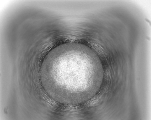 X0000093771105200710301200