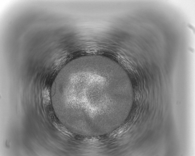 X0000093771106200710301200