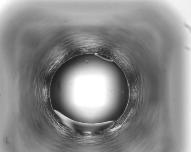 X0000093771108200710301200