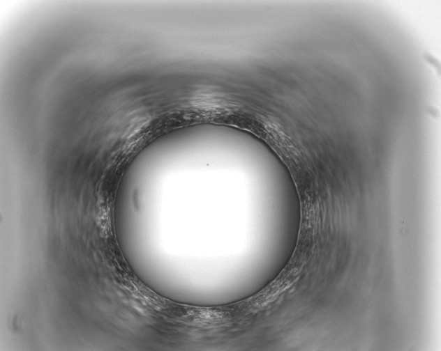 X0000093771109200710301200