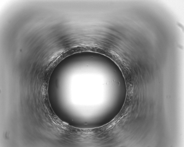 X0000093771110200710301200