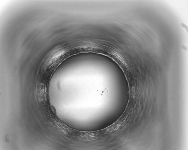 X0000093771111200710301200