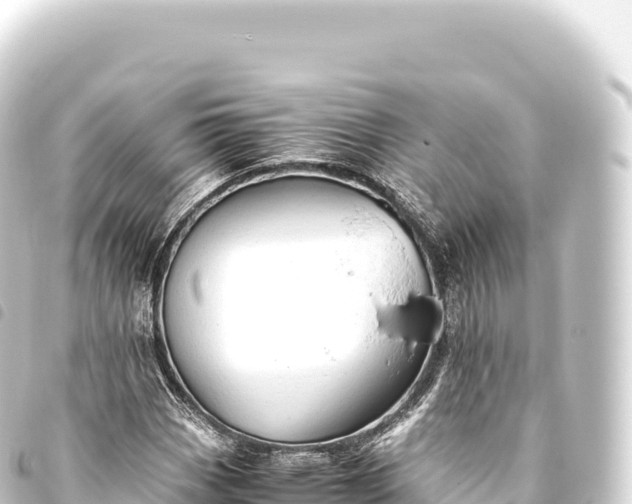 X0000093771113200710301200