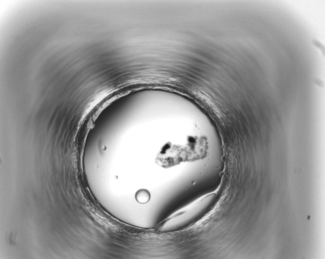 X0000093771114200710301200