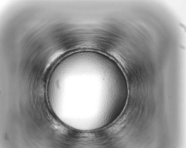 X0000093771115200710301200