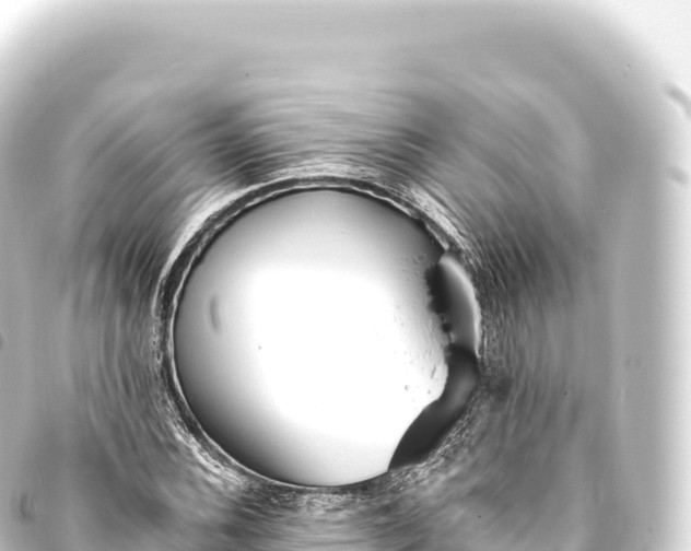 X0000093771116200710301200