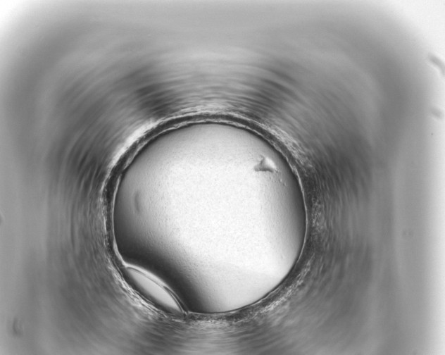 X0000093771118200710301200