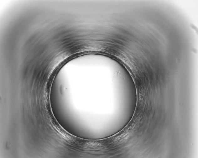 X0000093771119200710301200