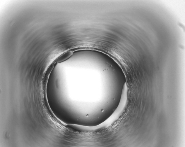 X0000093771120200710301200