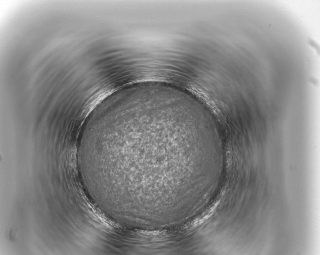 X0000093771121200710301200