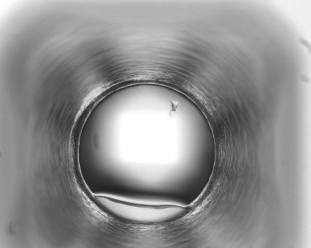 X0000093771122200710301200