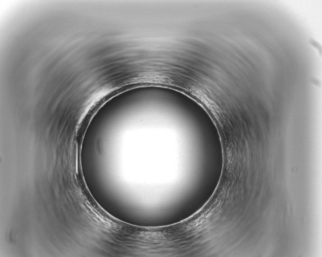 X0000093771123200710301200