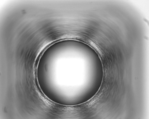 X0000093771124200710301200