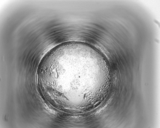 X0000093771125200710301200