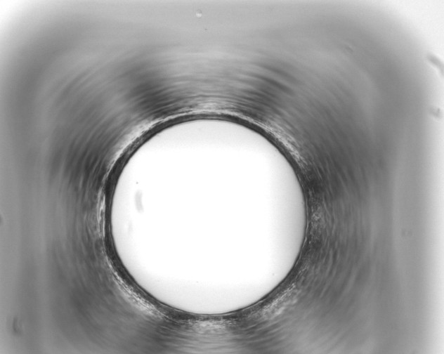 X0000093771126200710301200