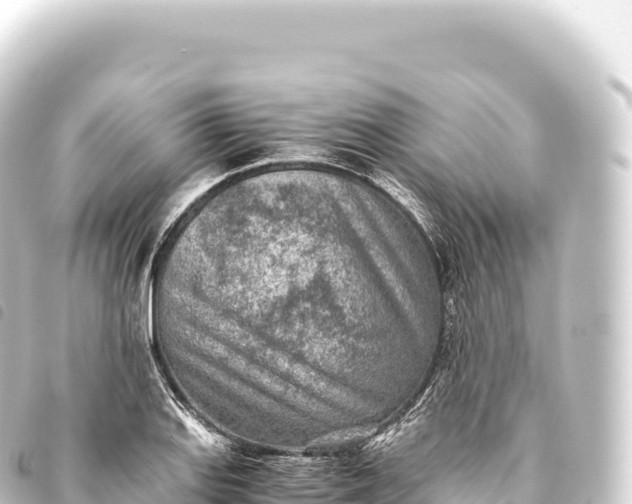 X0000093771127200710301200