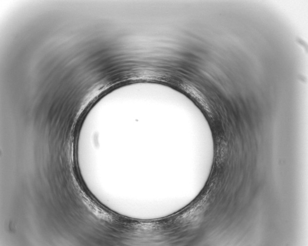 X0000093771130200710301200