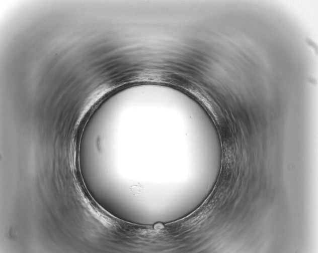 X0000093771131200710301200