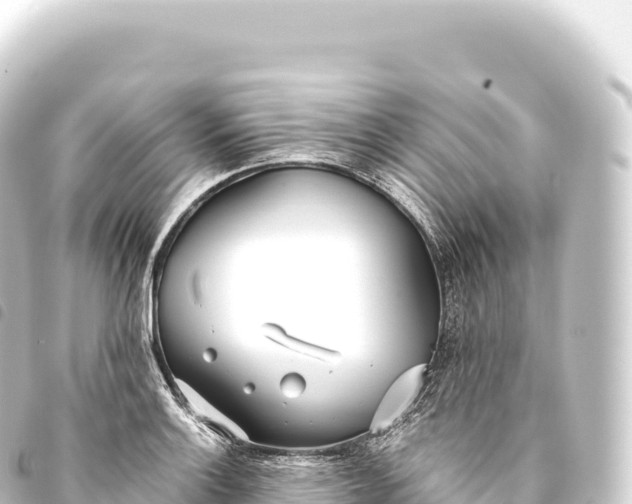 X0000093771132200710301200