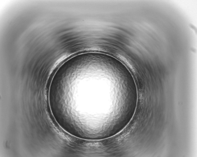 X0000093771133200710301200