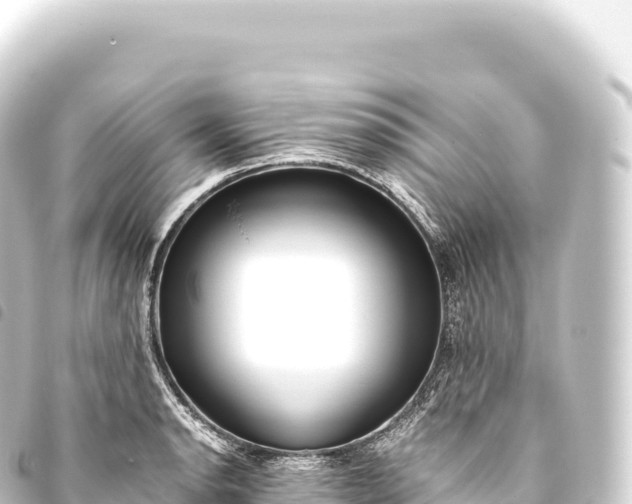 X0000093771134200710301200