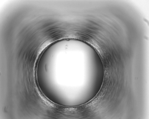 X0000093771135200710301200