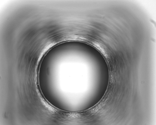 X0000093771136200710301200