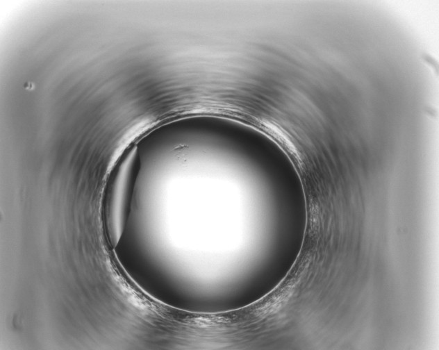 X0000093771138200710301200