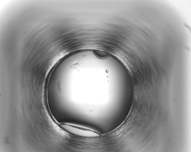 X0000093771139200710301200