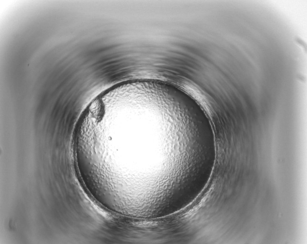 X0000093771141200710301200