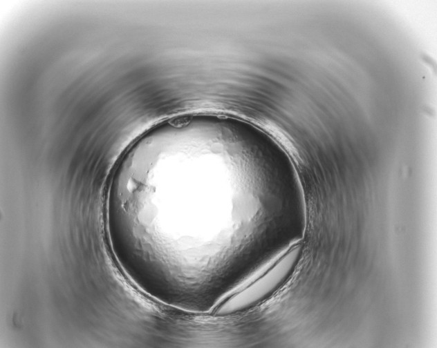 X0000093771142200710301200