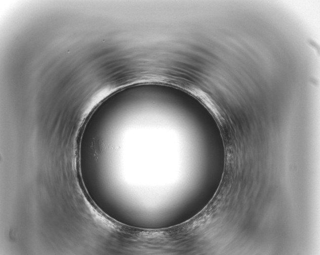 X0000093771143200710301200