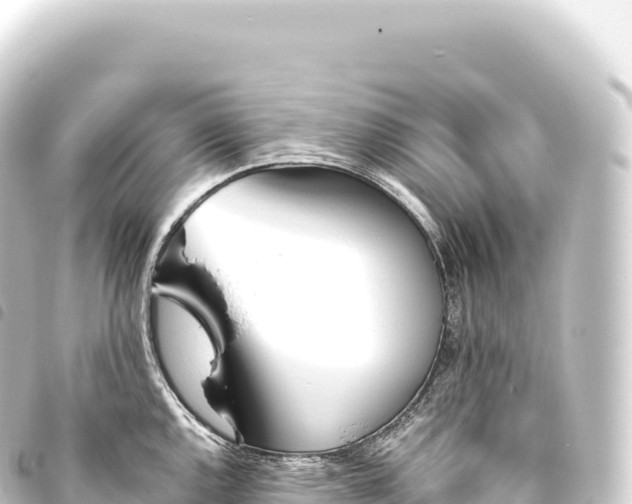 X0000093771144200710301200