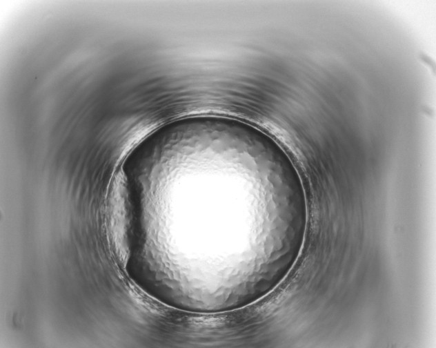 X0000093771145200710301200