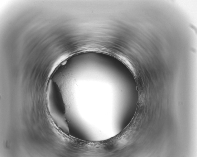 X0000093771146200710301200