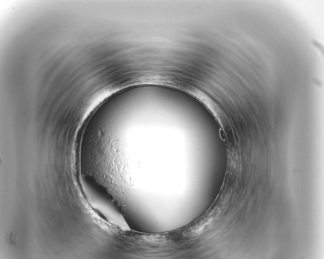 X0000093771147200710301200