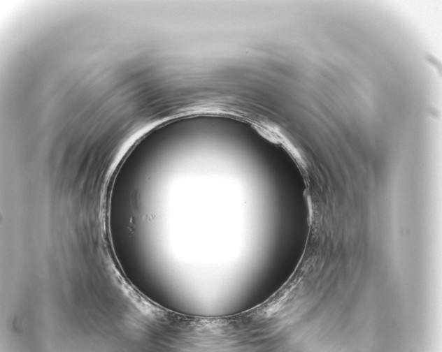 X0000093771148200710301200