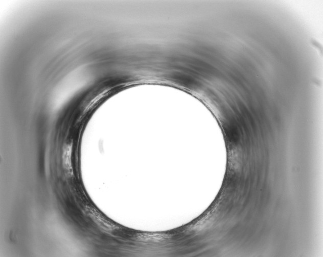 X0000093771150200710301200