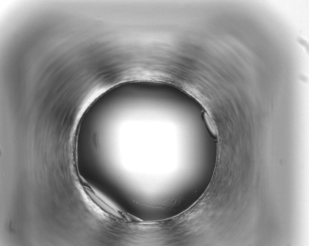 X0000093771152200710301200