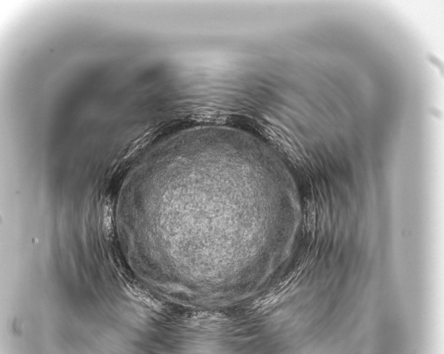 X0000093771154200710301200