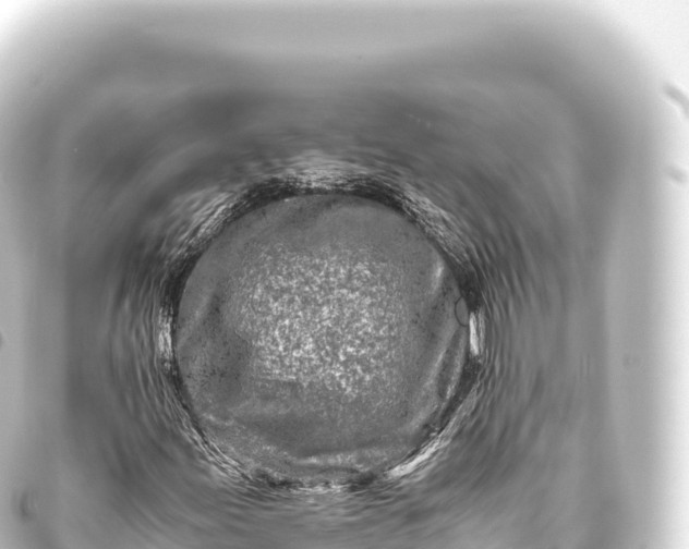 X0000093771155200710301200