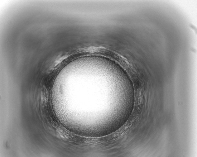 X0000093771158200710301159