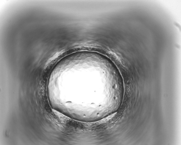 X0000093771159200710301159