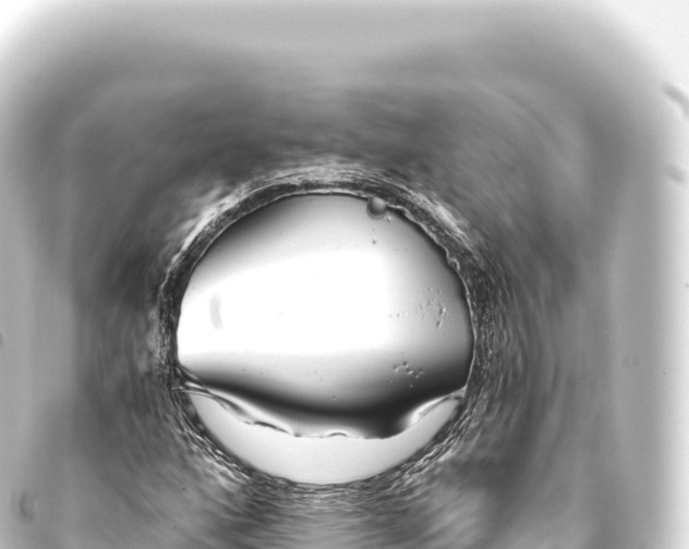 X0000093771160200710301159