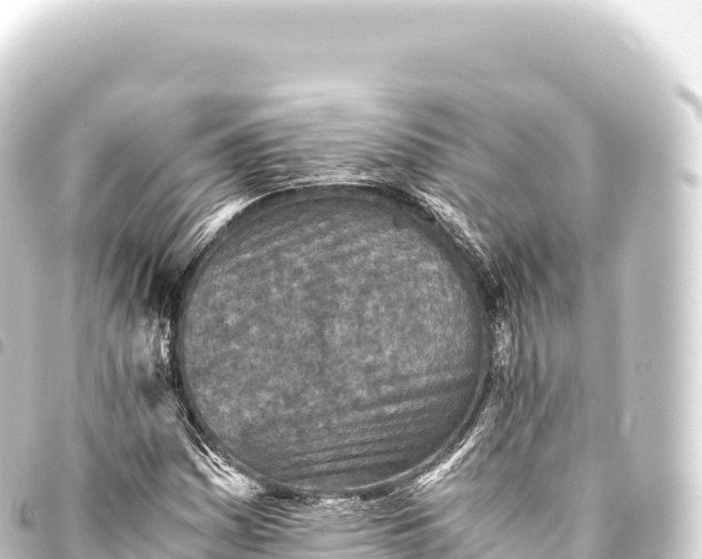 X0000093771161200710301159