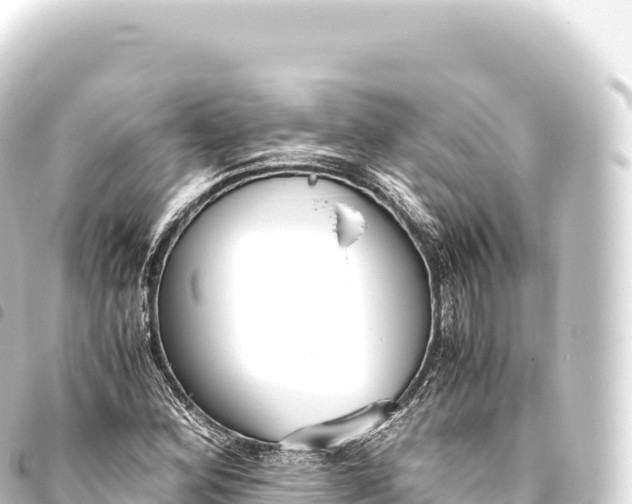 X0000093771164200710301159