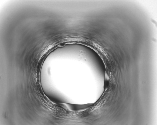 X0000093771165200710301159